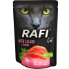 rafi-cat
