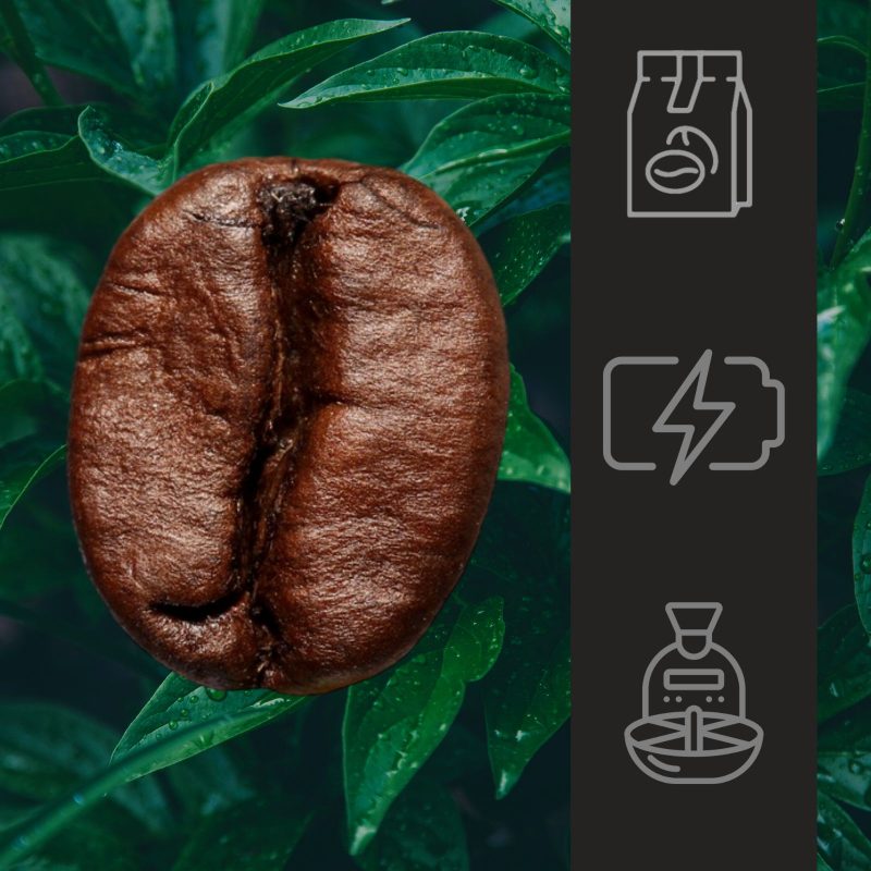 Kawa Brazylijska Świeżo Palona Arabika/Robusta 1kg